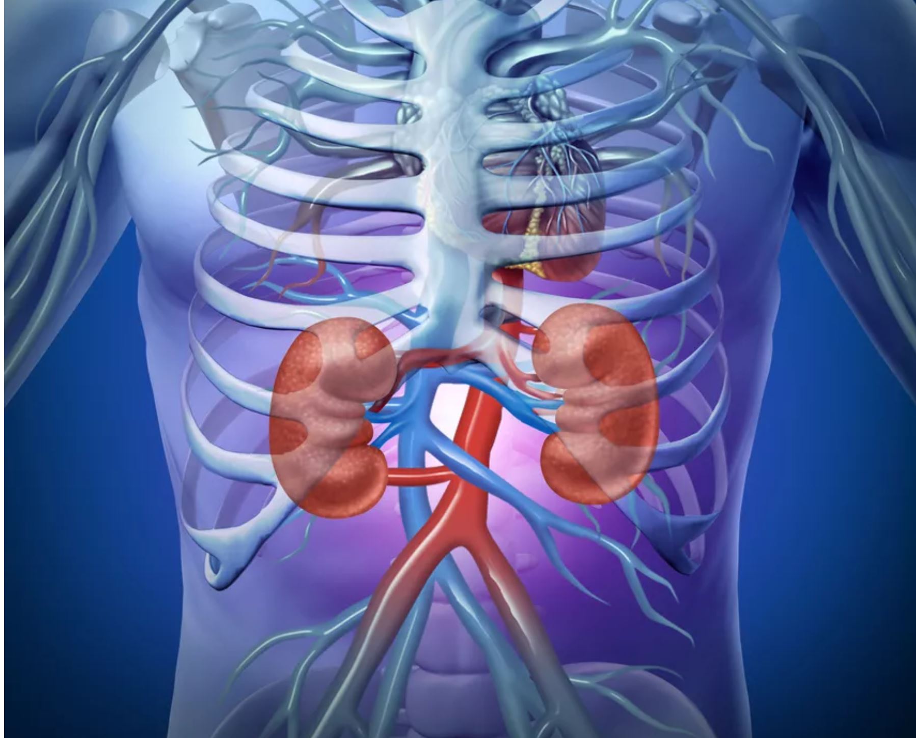 Nou studiu. Cercetătorii au descoperit bacterii ascunse în pietrele la rinichi