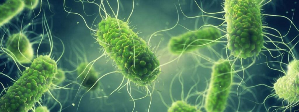 19 persoane, duse la spital cu simptome de otrăvire, la Chișinău