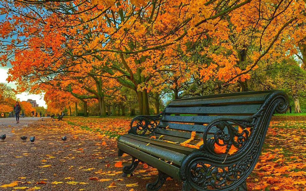 Marea schimbare are loc în această lună. Ce se întâmplă cu ora de iarnă. Este directivă de la UE