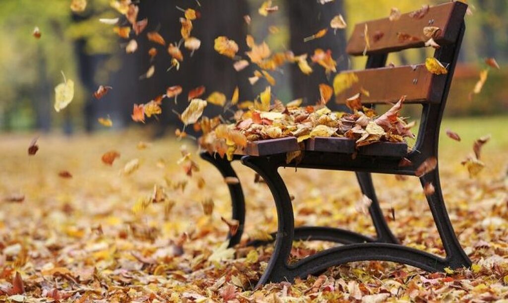 Cod galben de vânt în mai multe regiuni. Vremea se răceşte brusc