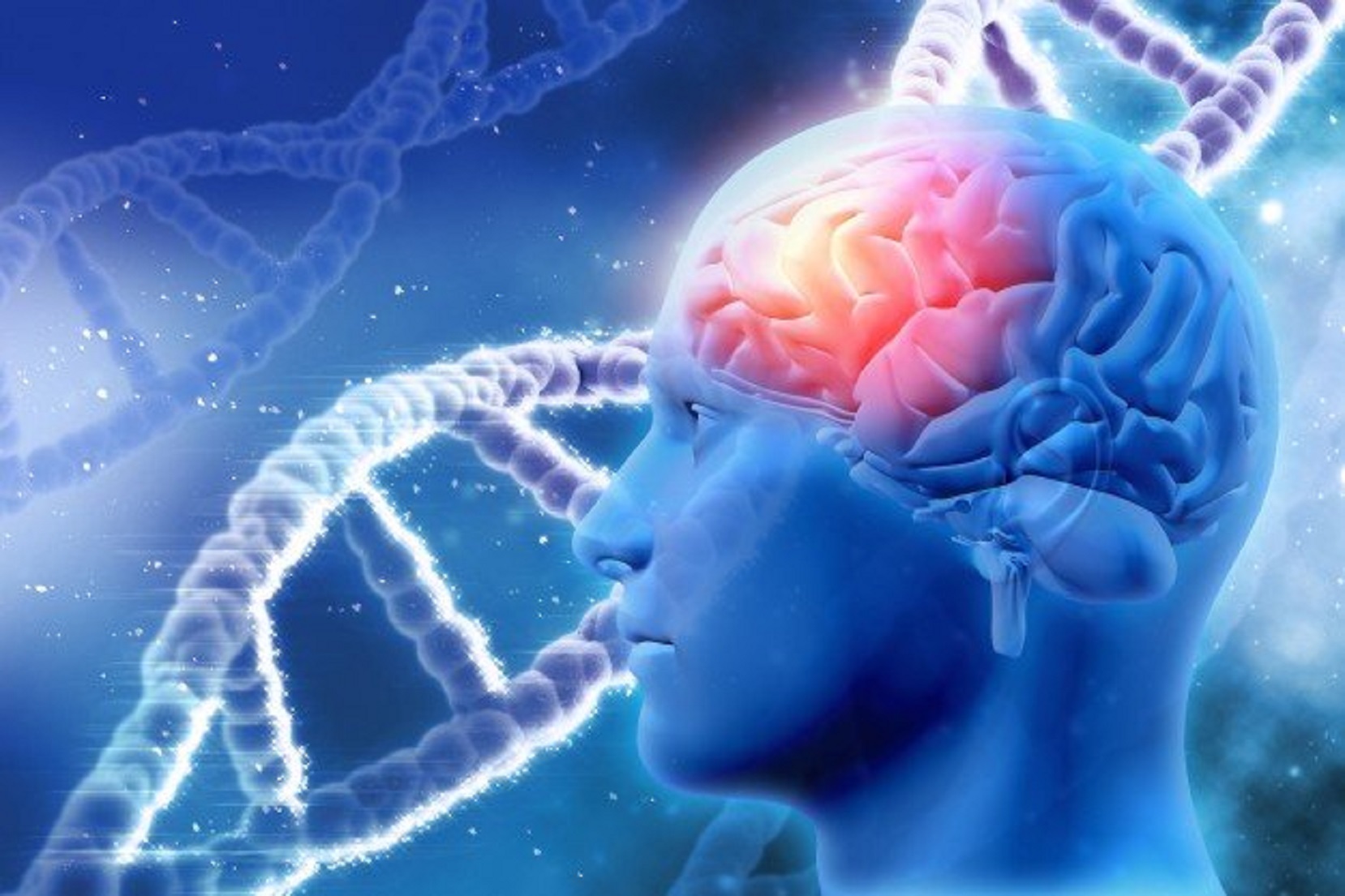 Gena care crește riscul de Alzheimer are o vulnerabilitate. Ce au descoperit oamenii de știință