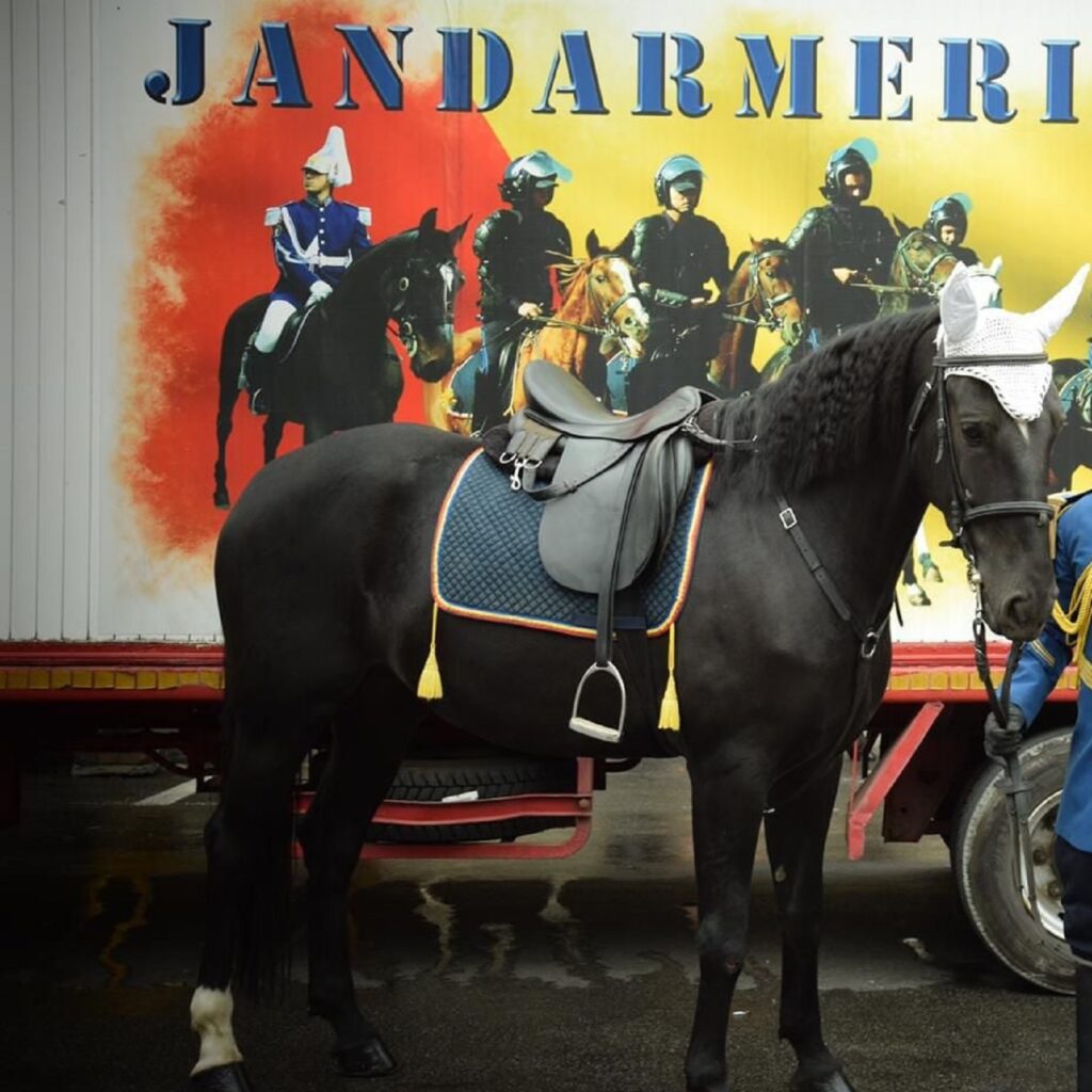 S-a aflat de ce a căzut jandarmul de pe cal pe 1 Decembrie. Ar fi consumat băuturi alcoolice. Video