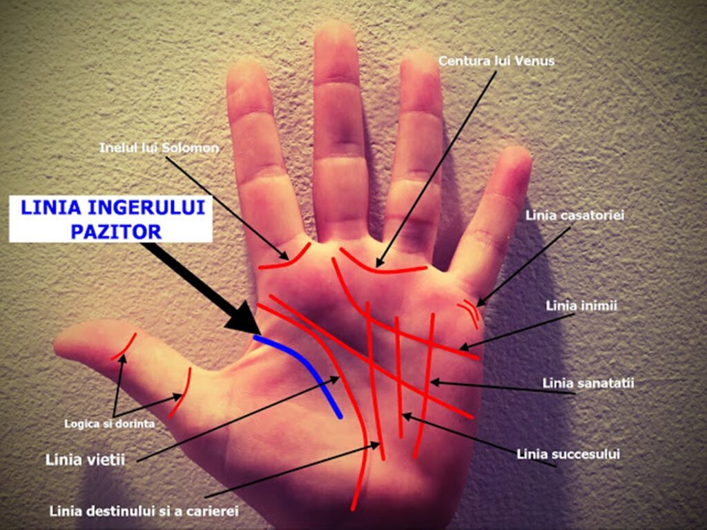 Secretul cititului în palmă. Liniile vieții și ale destinului sunt cele mai importante
