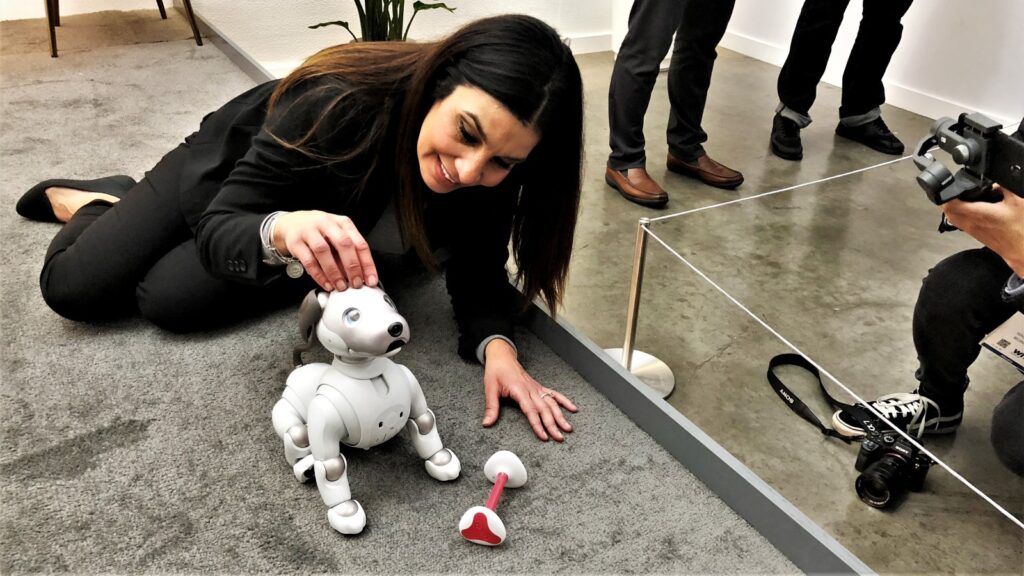 Japonia a descoperit cum poate ajuta persoanele care suferă tulburări mentale. Câinele-robot este noua metodă prin care oamenii se pot vindeca