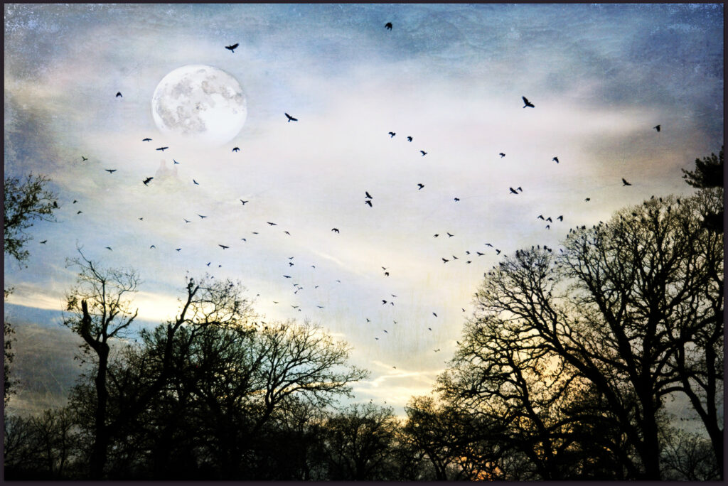 Alertă lângă România! Pericolul vine din Ungaria. Au explodat zeci de focare