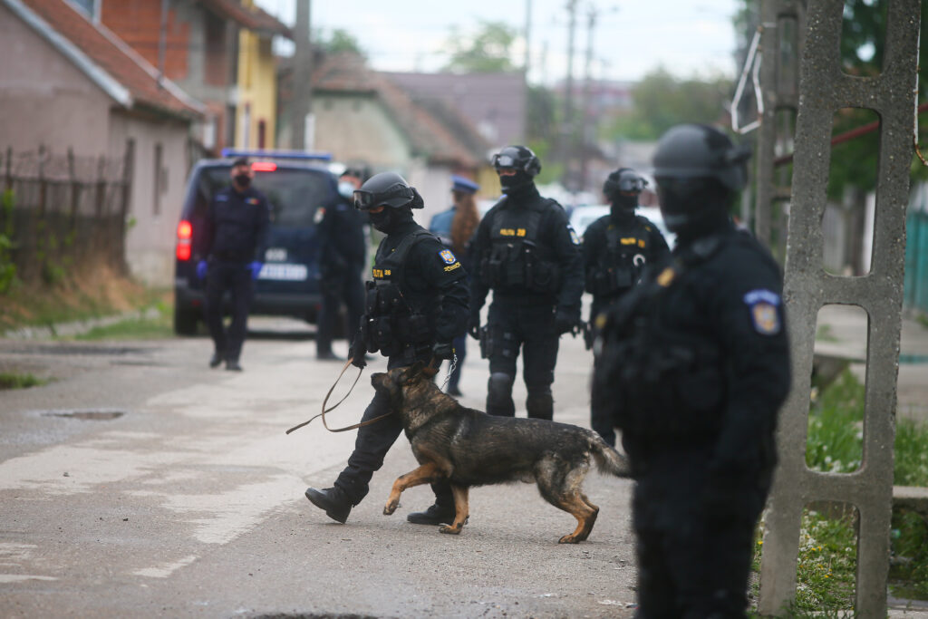 MAI, intervenții în forță în ultimele 24 de ore! 11 persoane date în urmărire au fost găsite. Bunuri de peste 320.000 de lei, confiscate