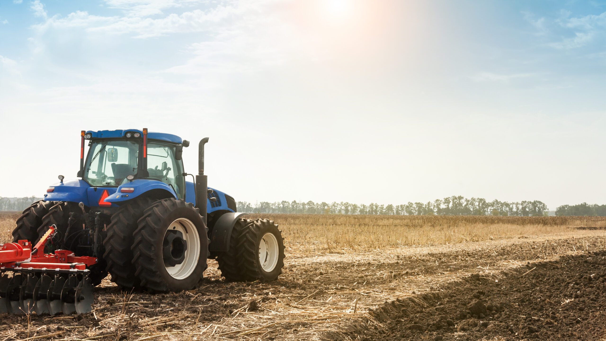 Alertă de la Bruxelles pentru agricultura românească. Seceta extremă și canicula au pârjolit culturile de vară din vestul țării