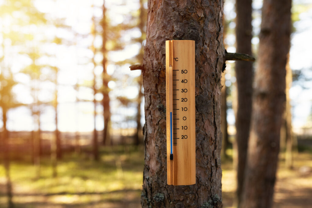 Prognoza meteo pentru finalul lunii martie. Temperaturile vor fi ridicate în toate regiunile. Unde sunt așteptate precipitații