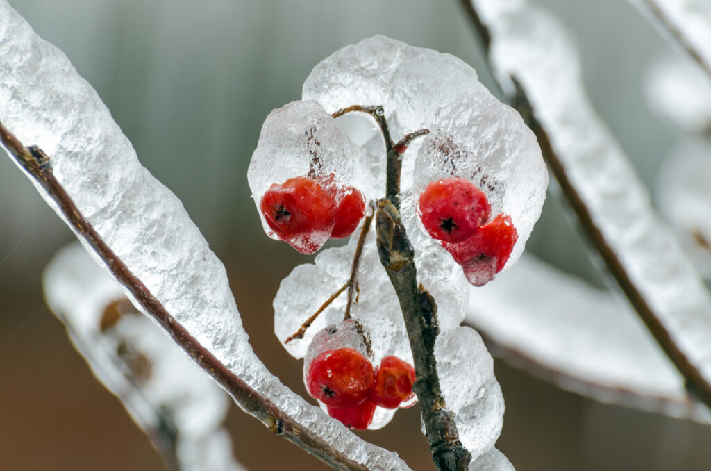 Un ger cumplit lovește România! Temperaturile scad în toată țara. Care sunt zonele cele mai afectate de frig
