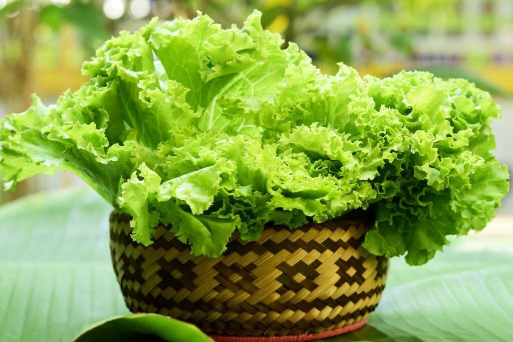 Postul intermitent, un stil de viață revoluționar, sănătate asigurată. Cum funcționează această alimentație