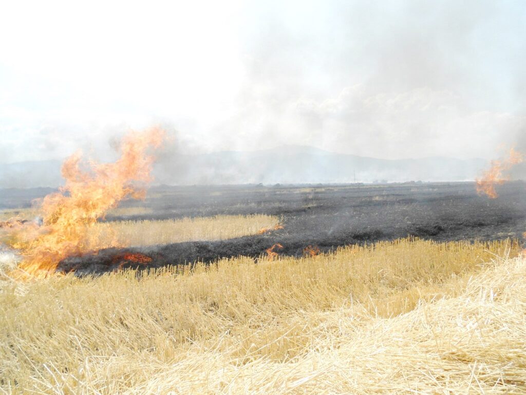 E absolut interzis în toată România! Anunţul momentului direct de la Guvern. Amenzi uriaşe pentru cei care incendiază terenurile