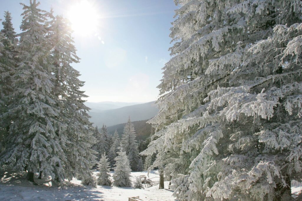 Austria vrea să interzică schiatul. Protecția ghețarilor este mai importantă