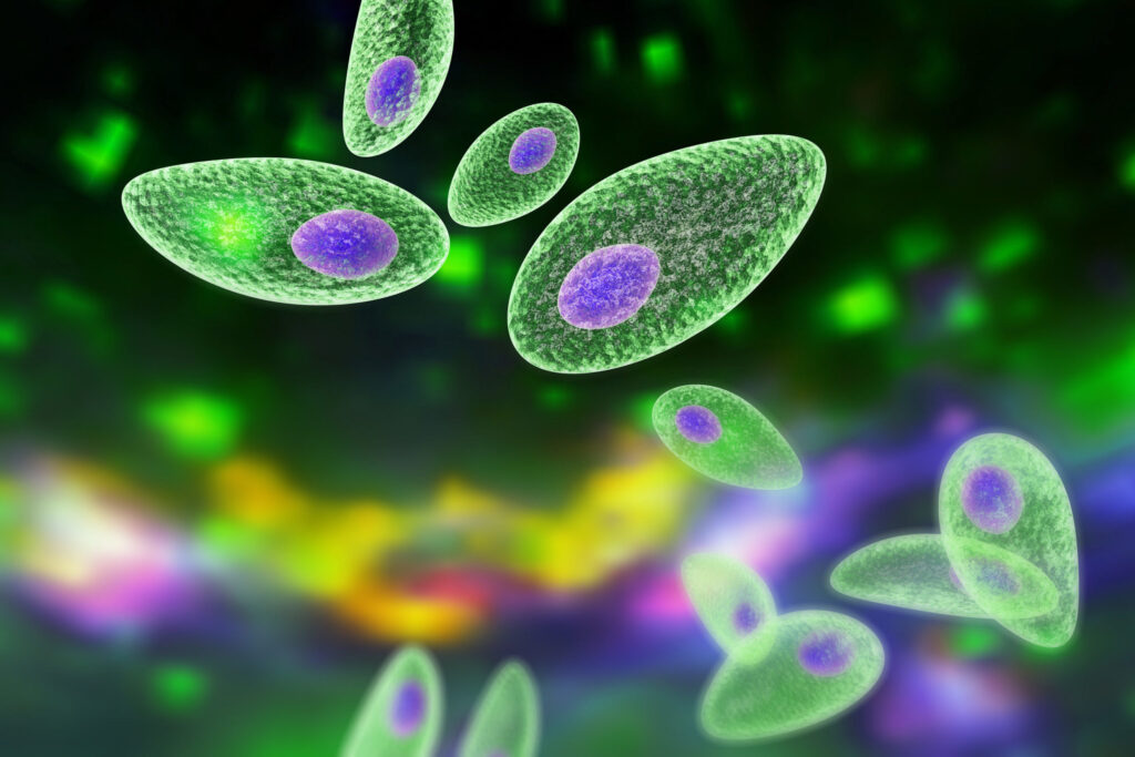 Unul din trei oameni este infectat cu parazitul Toxoplasma – iar indiciul ar putea fi în ochii noștri