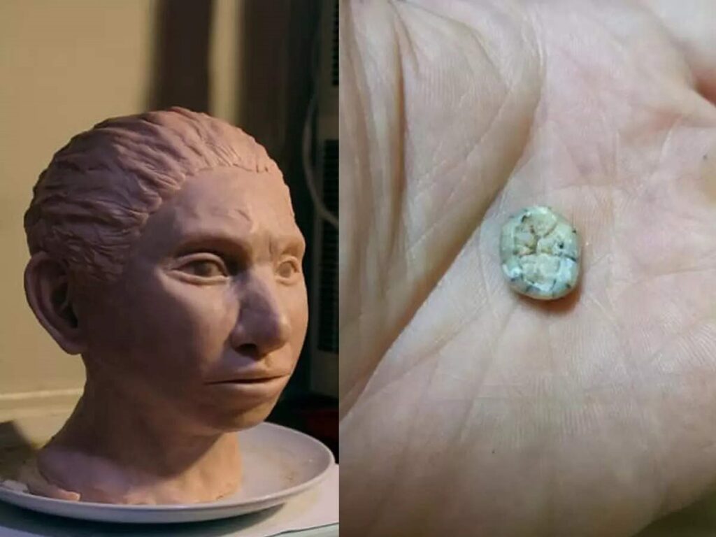 Un dinte străvechi, găsit într-o peșteră, dovada că o specie de oameni a trăit în urmă cu 130.000 de ani