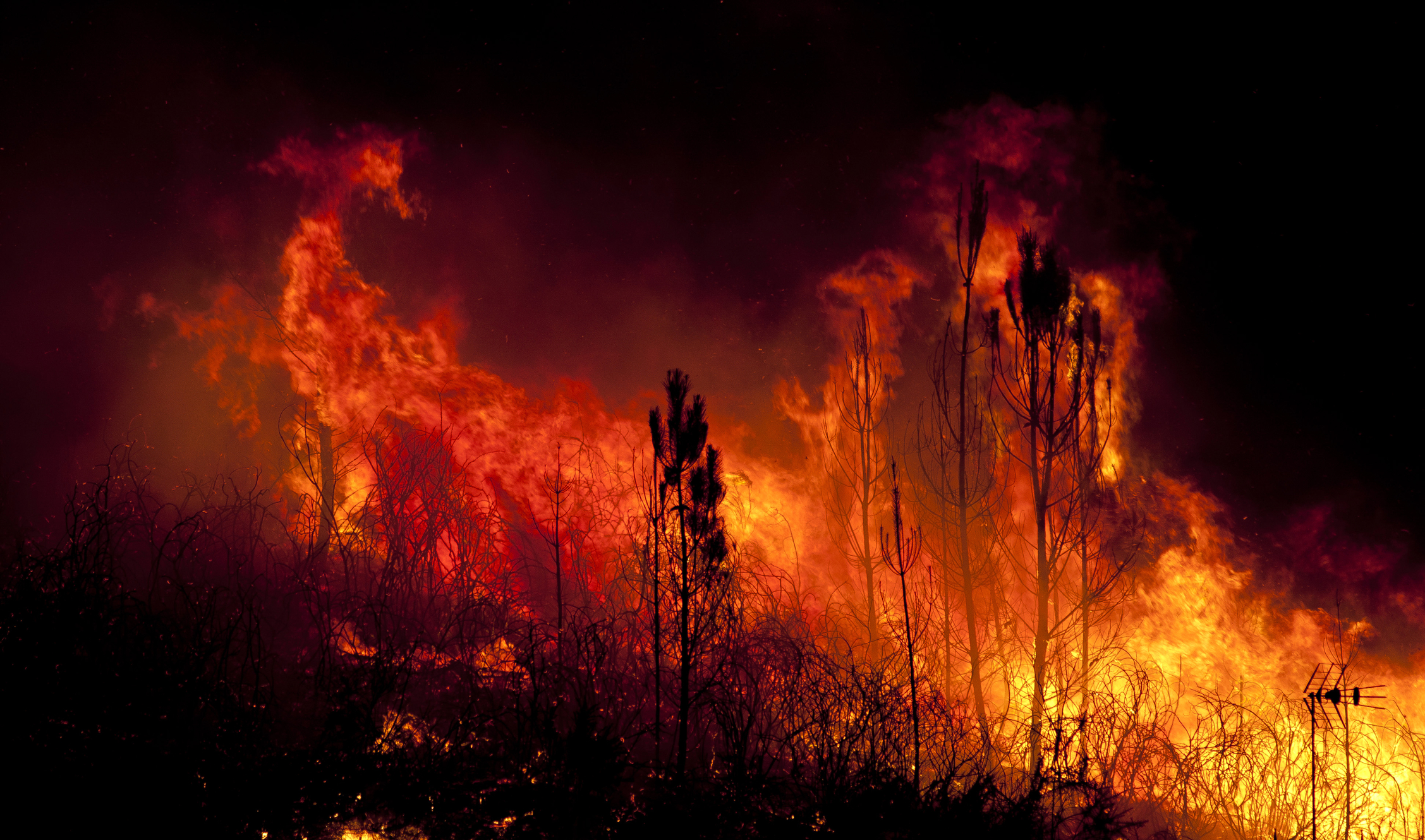 Incendiile de vegetație fac ravagii în Franța. Aproape 1.000 de hectare au ars în Pirinei