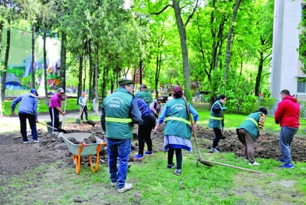 Totul Verde. a reamenajat curtea și a extins suprafața locurilor de joacă de la grădinița Dumbrava Minunată