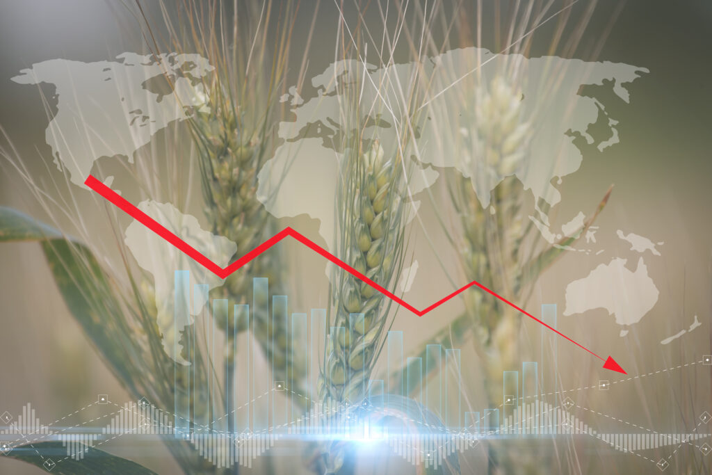 „Războiul mondial al pâinii deja a început”: Nu vom mai putea controla următoarele conflicte. Avertismentul Italiei privind criza alimentară