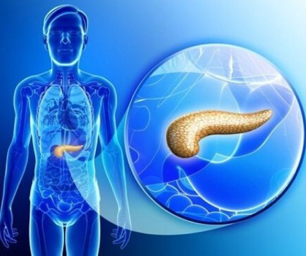 Modalități prin care poți combate pancreatita. Semnele care indică marea problemă de sănătate