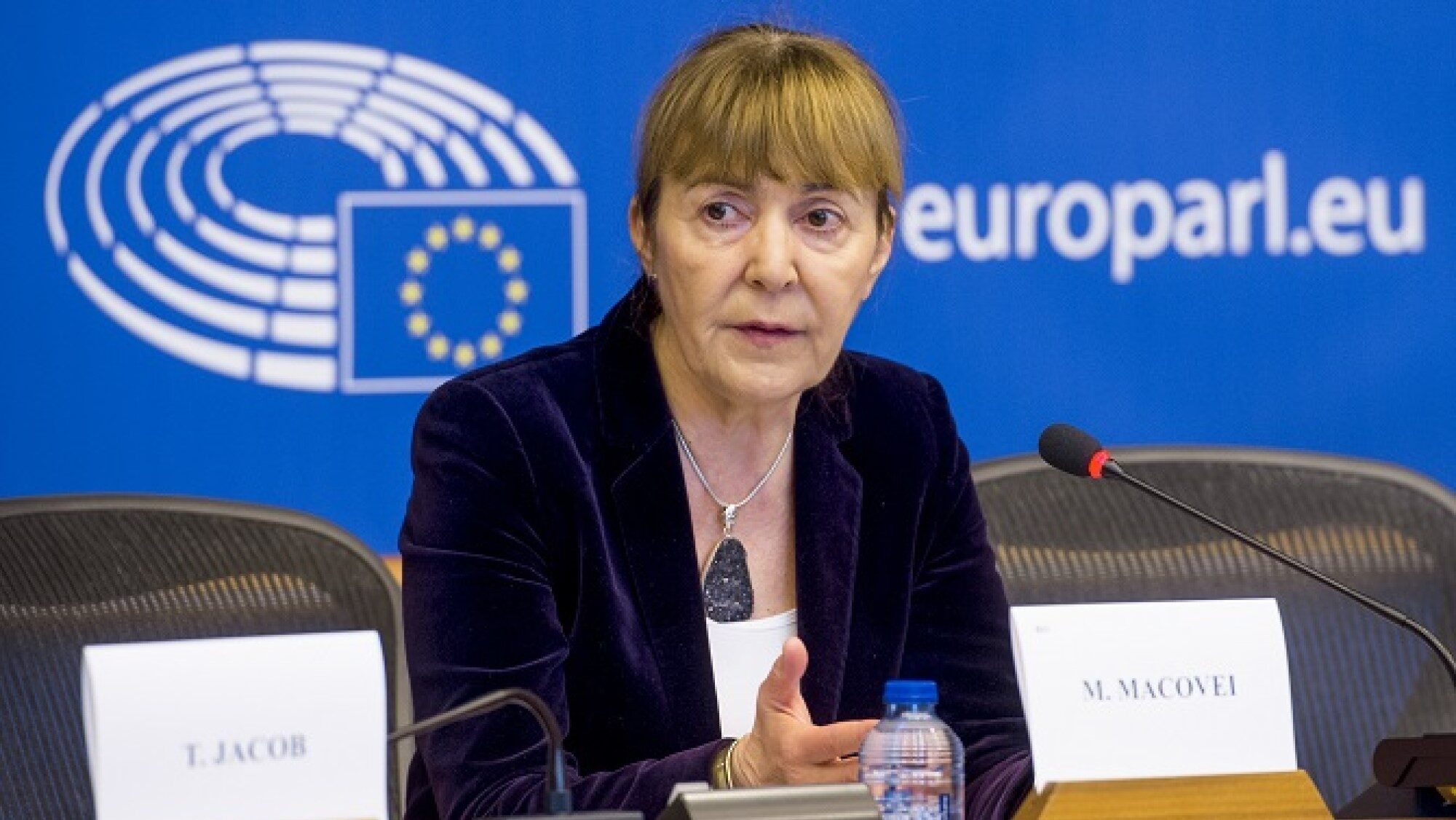 Cum comentează Monica Macovei cazurile Ciucu și Fritz. Acuzații la adresa lui Nicușor Dan
