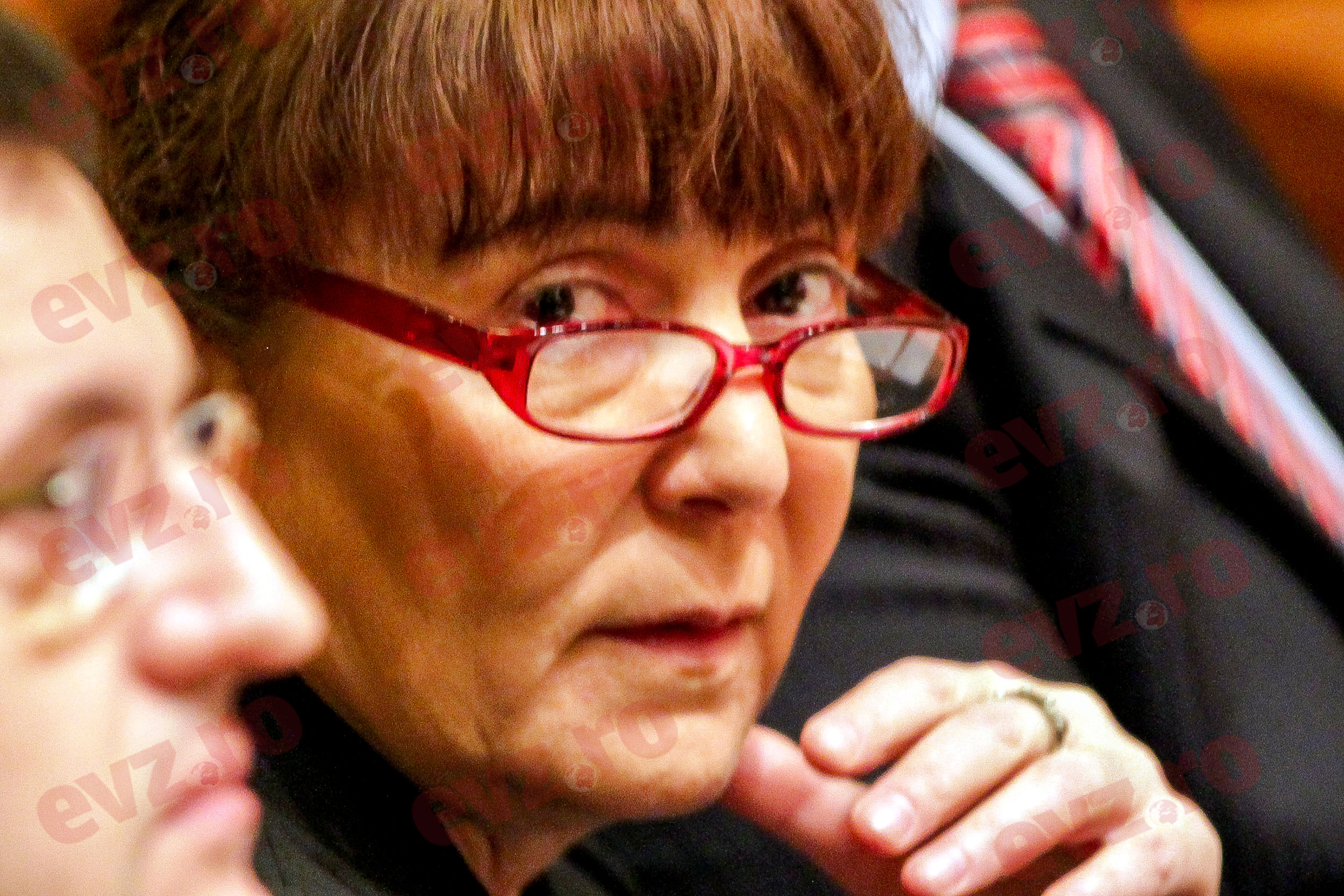 Monica Macovei refuză să facă muncă în folosul comunității