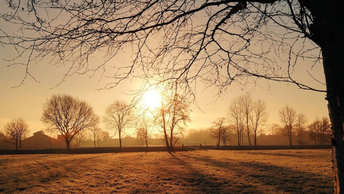 Prognoza meteo pentru iarna 2022-2023. Vom avea o iarnă ciudată cu temperaturi pozitive şi ninsori slabe