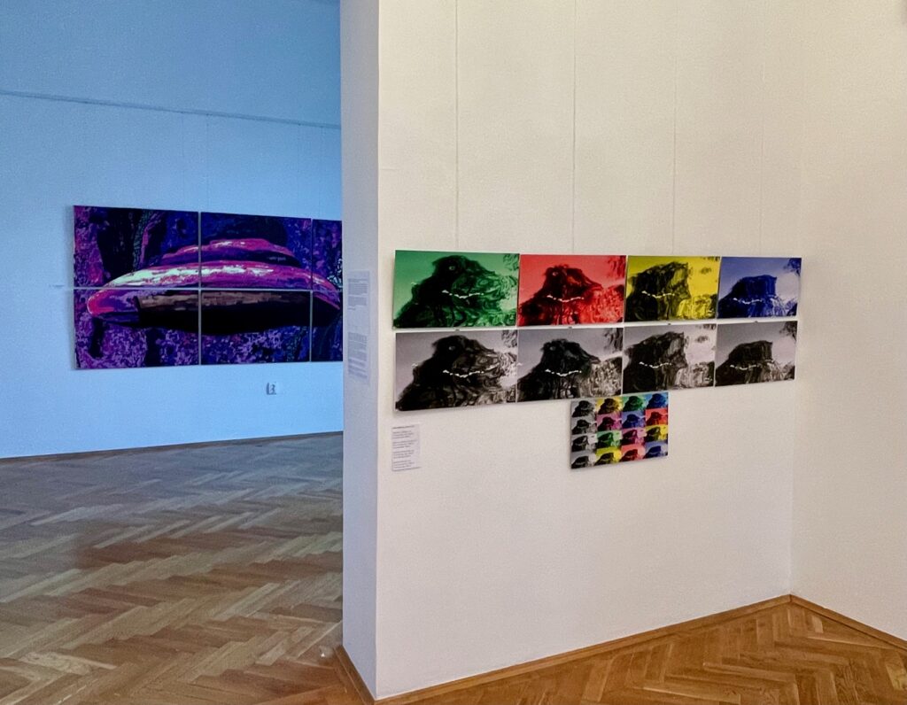 Călătorie fantastică în lumea Monstrului surâzând, la Galeria Romană