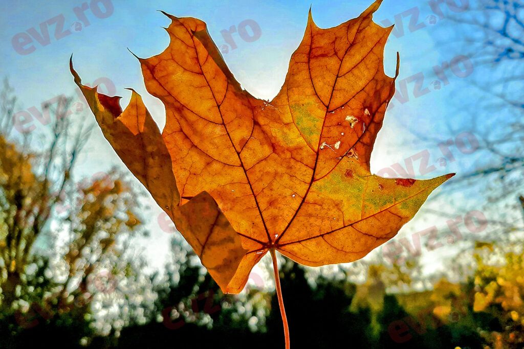 Prognoza meteo. Temperaturi de vară în primul weekend din noiembrie