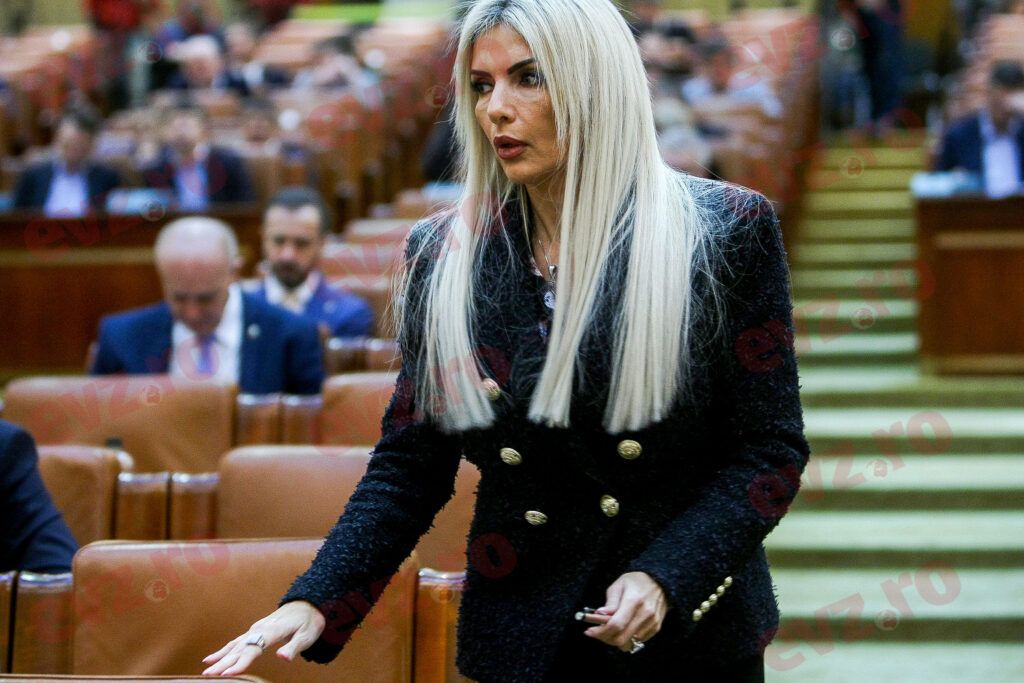Deputata PSD Laura Vicol, Maybach de 200.000 de euro de la Nordis