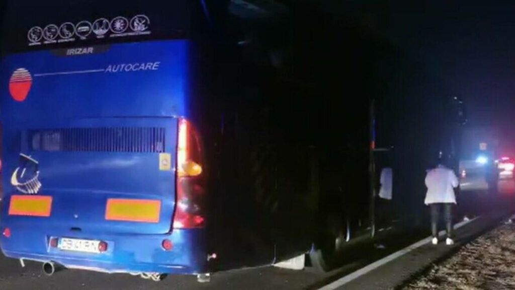 Un taur intrat pe DN 1 a provocat un accident cu un autocar şi două autoturisme. O persoană a fost rănită