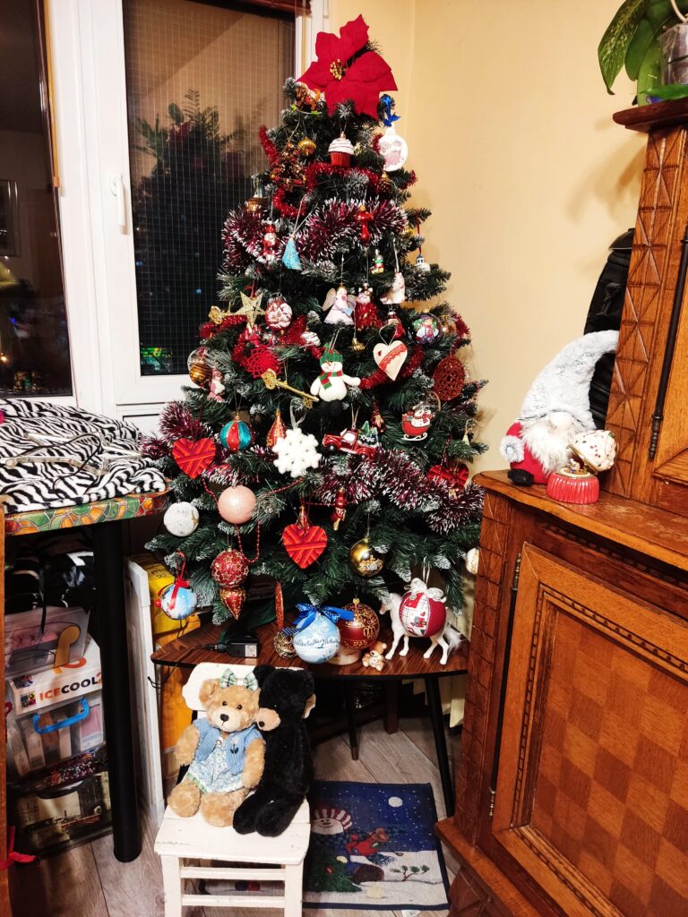 Horoscopul lui Dom’ Profesor,  23 decembrie 2025. Familia mea. Crăciunul