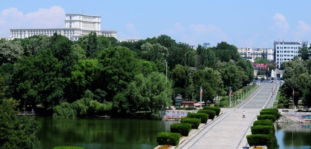 Sectorul 4 are cea mai mare densitate de arbori pe hectar