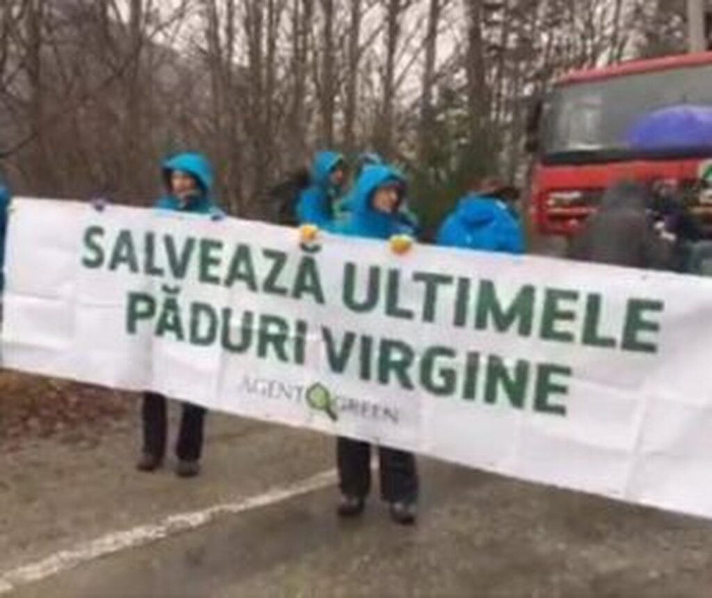 Romsilva acuză activiștii Declic că au mințit în investigația privind Parcul Național Cheile Bicazului: „Au manipulat grosolan”
