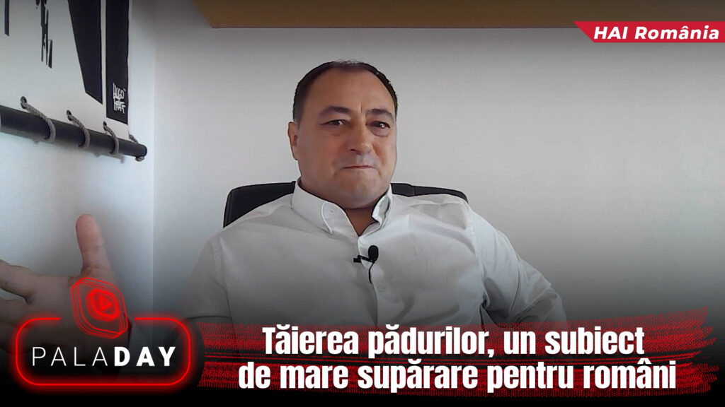 Exclusiv. Tăierea pădurilor, un subiect de mare supărare pentru români. PalaDAY. Video