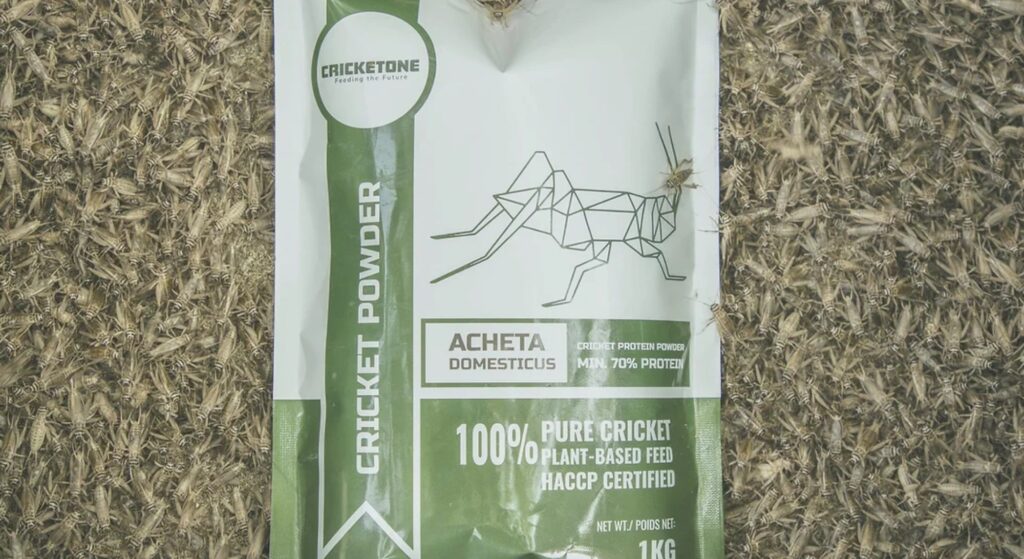 Cât costă făina de greieri în magazinele din România. Nu oricine își poate permite acest produs