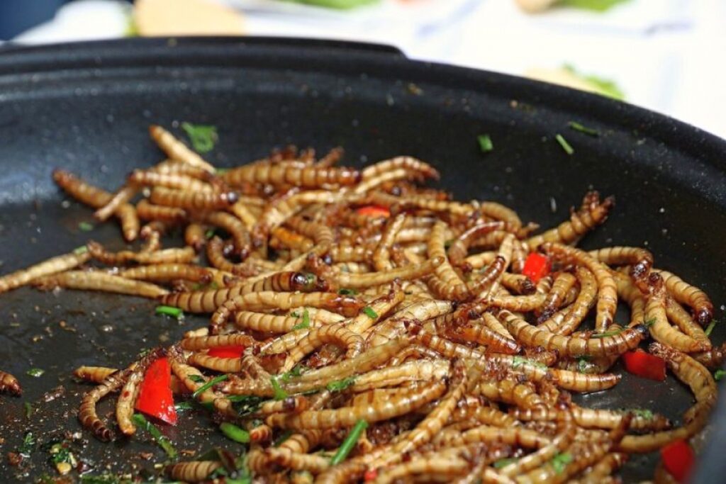 A fost extinsă lista insectelor autorizate pentru consumul uman. Ce pot include acum oamenii în alimentația lor