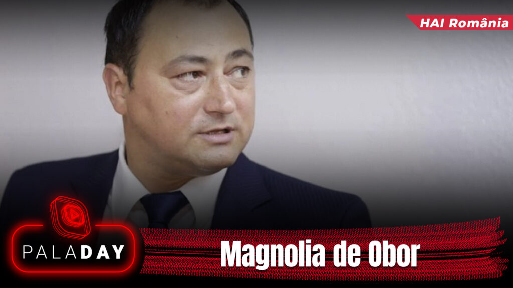Exclusiv. Magnolia de Obor. PalaDay. Video