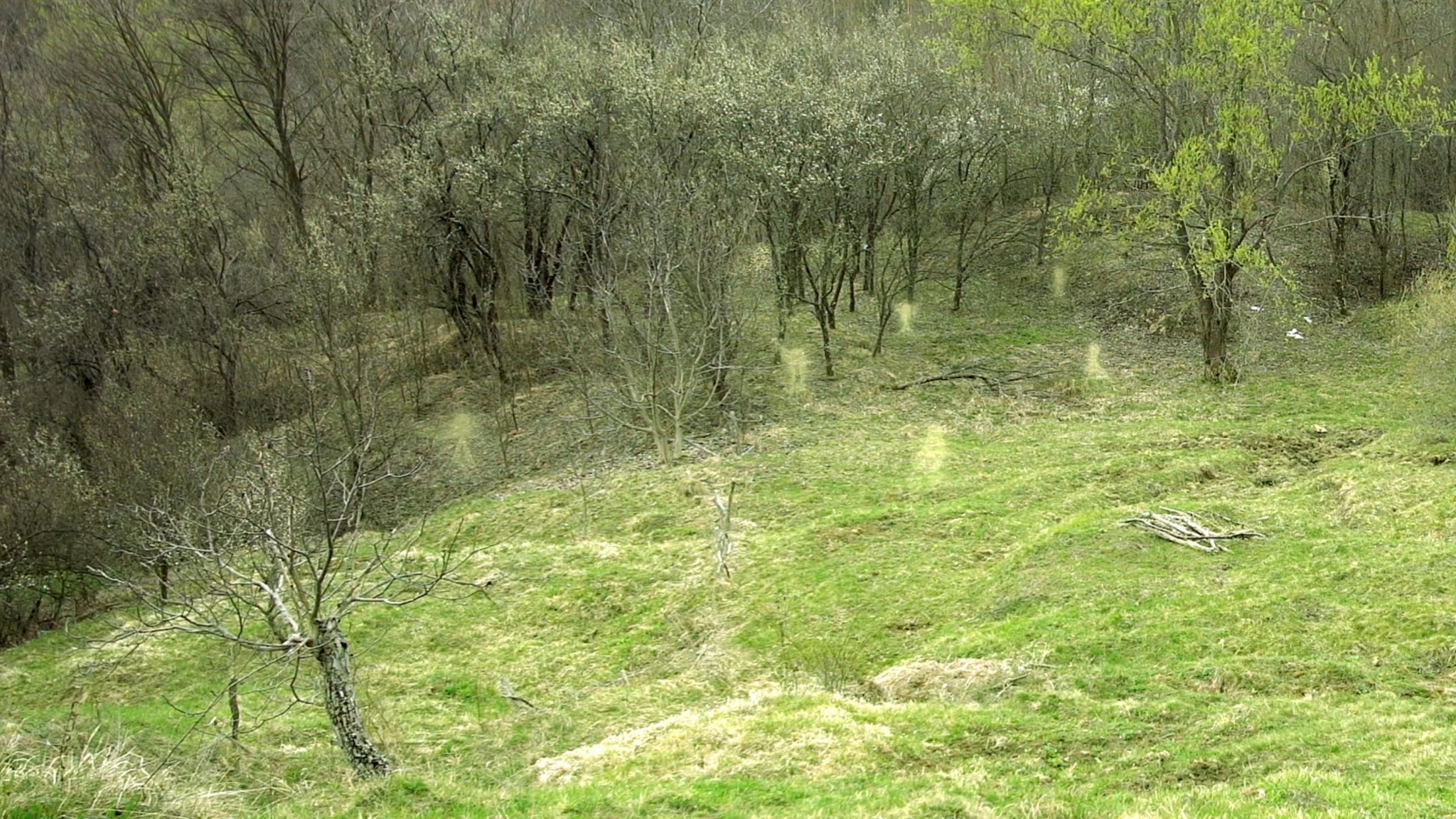 Frumoase și periculoase. Cum descriu legendele populare întâlnirea cu ielele