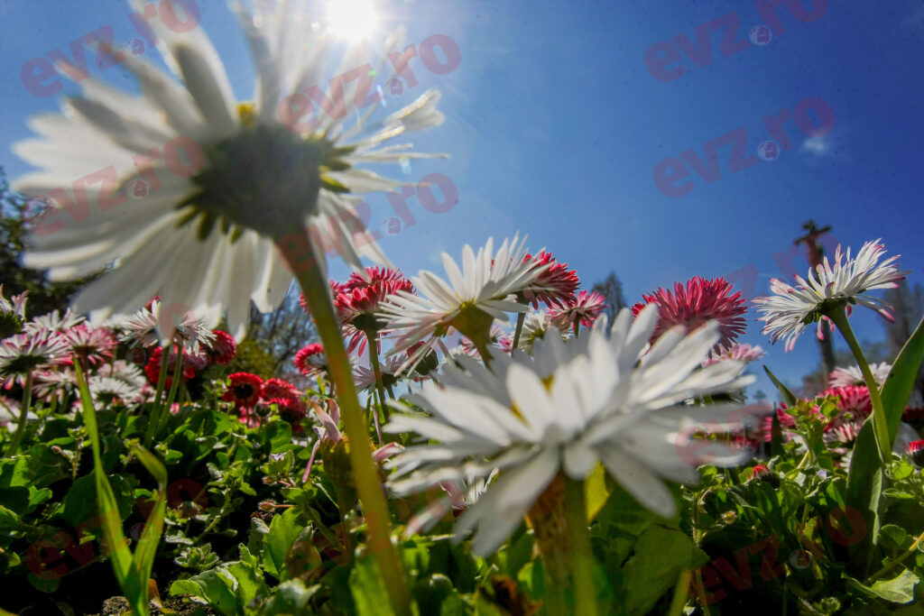 Prognoza meteo pentru următoarele patru săptămâni. Meteorologii anunță temperaturi ridicate de Florii și de Paște
