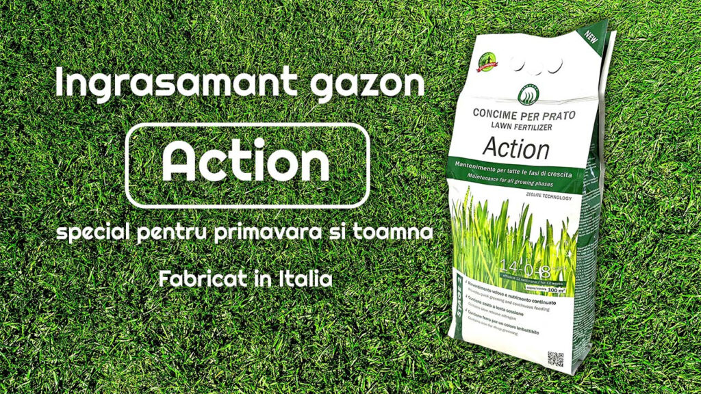 Îngrijirea gazonului: De ce îngrășământul de primăvară este esențial pentru un gazon sănătos