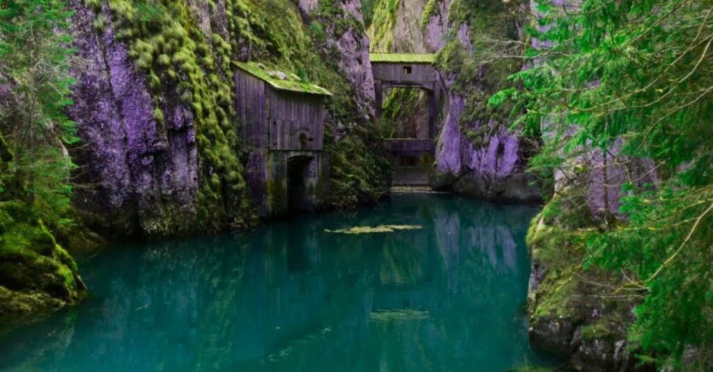 Paradisul sălbatic, situat la o oră distanță de București. Frumusețile naturii, ascunse în inima Bucegilor. Video