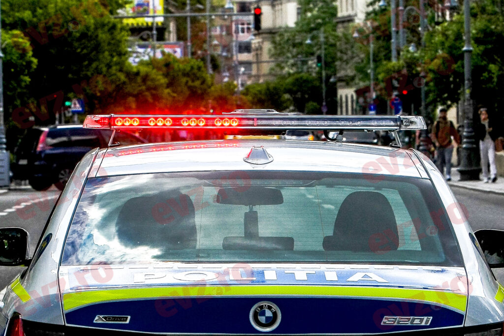 O persoană din Sectorul 6, acuzată că maltrata animalele. Polițiștii au efectuat percheziții în locuința acesteia și au găsit patru cadavre de câine