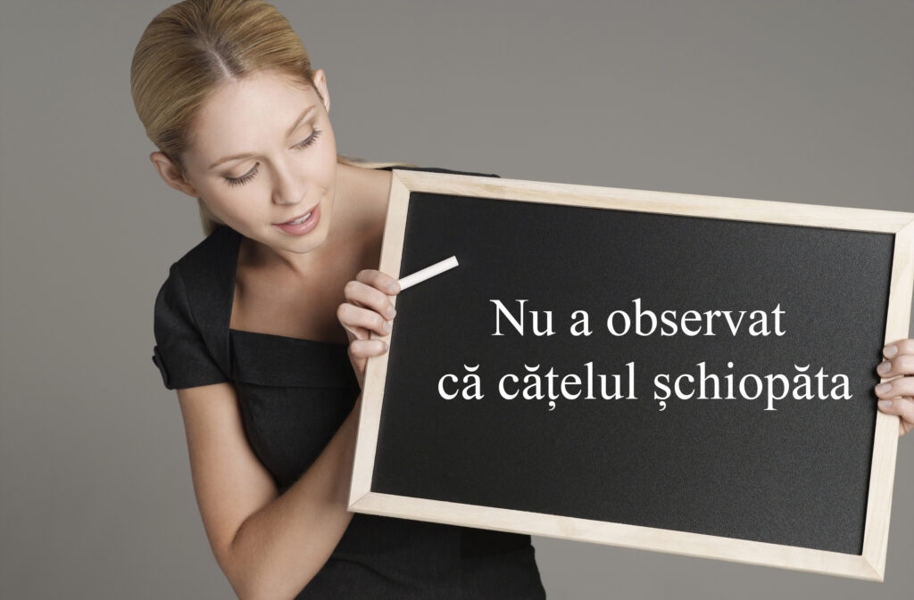 Cacofonia. Lingviștii explică de ce nu este o greșeală de limbă și nici de gramatică