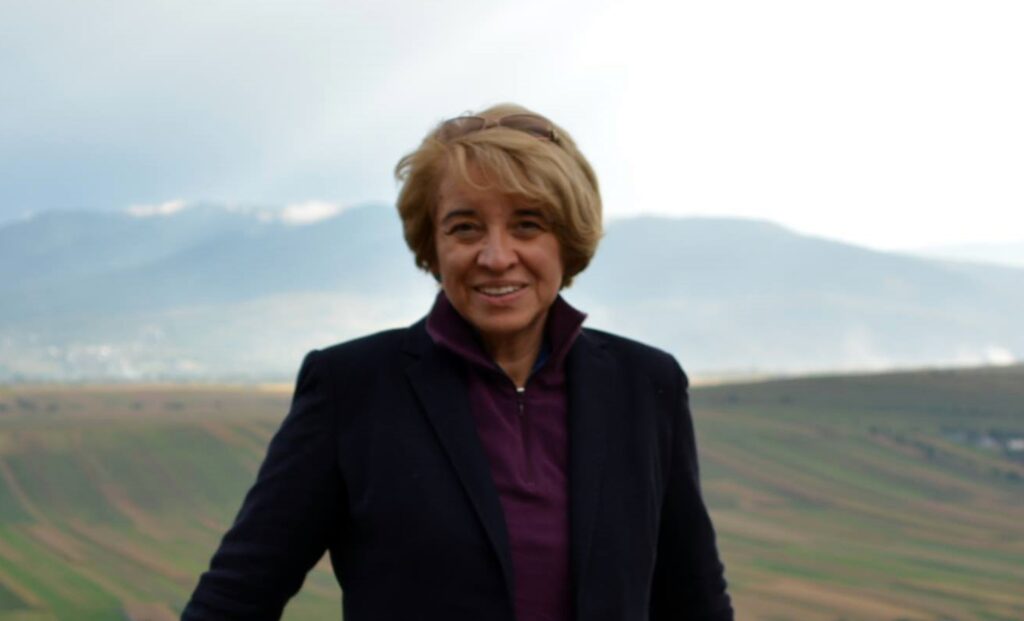 Cristina Guseth, înregistrată când cerea un atac la judecătoarea Lia Savonea. Limbaj suburban între șeful unui ONG și un procuror DNA. AUDIO