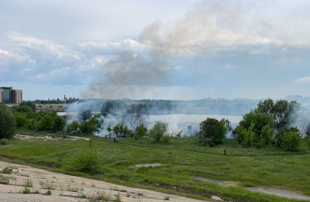 Incendiu puternic în Delta Văcărești. Flăcările s-au extins pe 30.000 de metri pătrați. Video