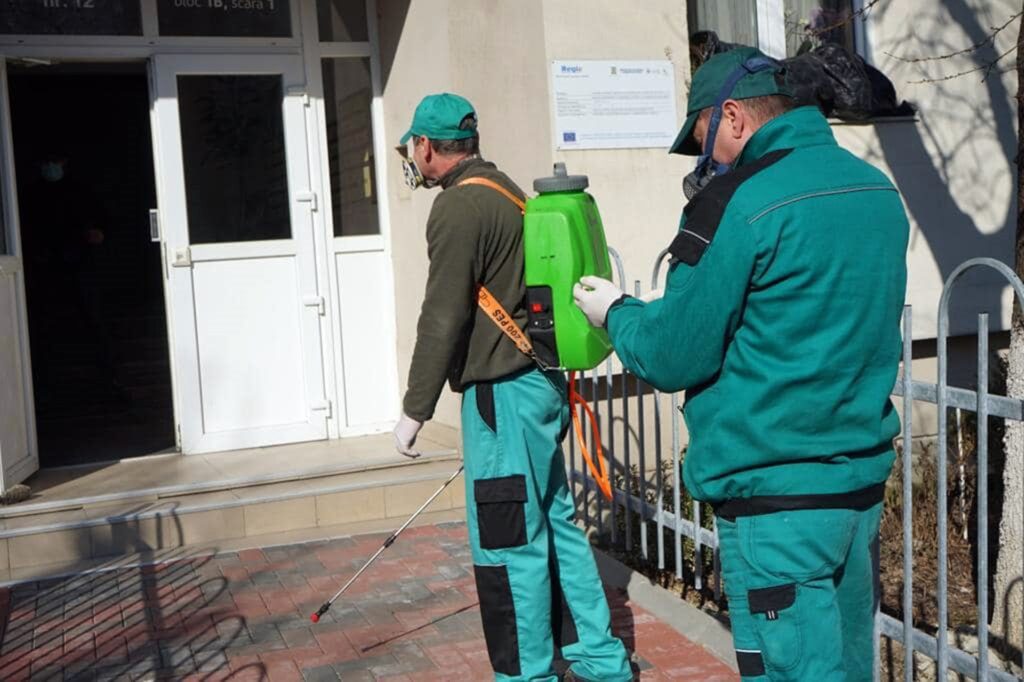 Începe dezinsecția în București. Locuitorii Capitalei trebuie să facă poze la gândaci