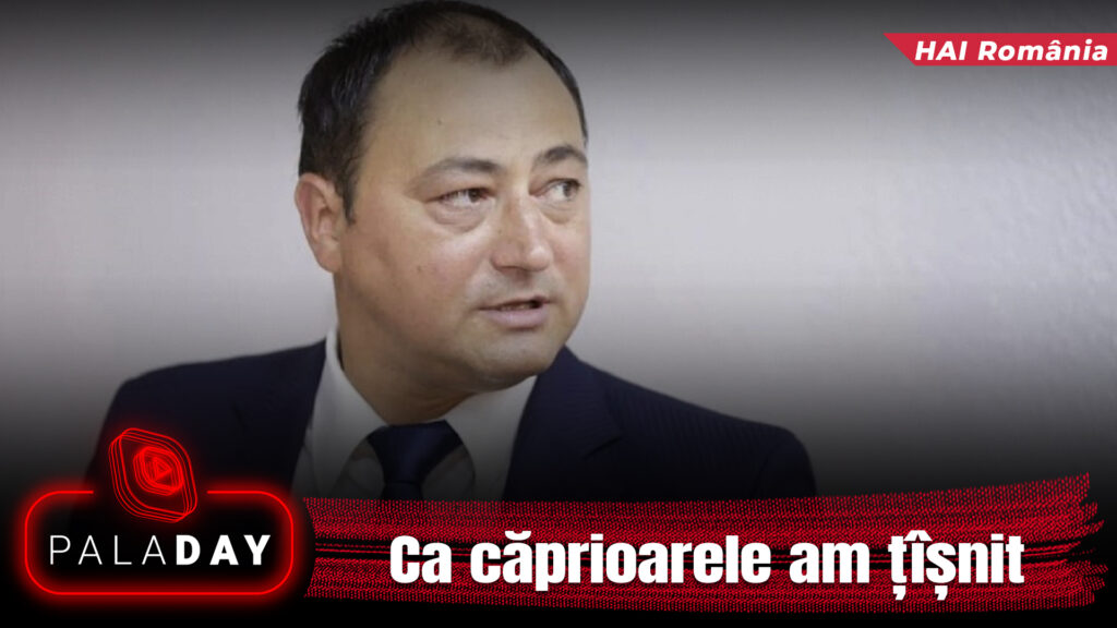 Exclusiv. Ca căprioarele am țîșnit. PalaDay. Video