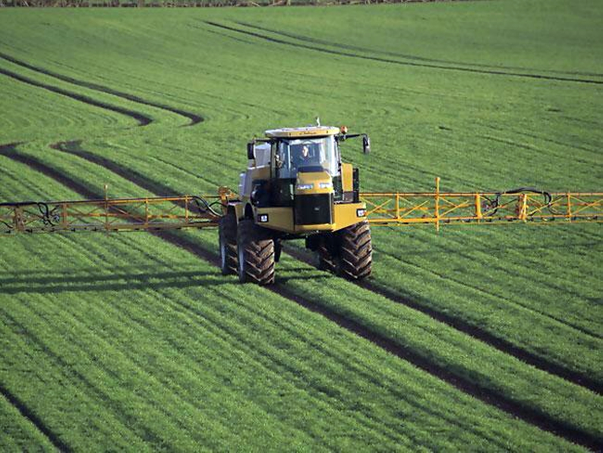 Fermieri