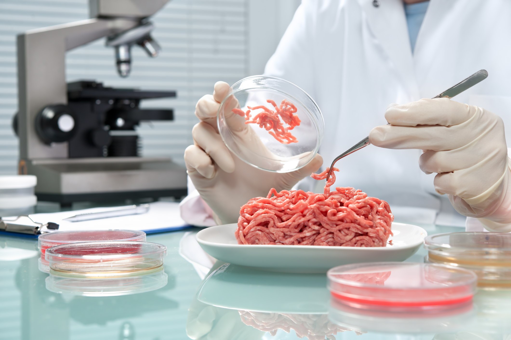 Mâncarea viitorului. Carne făcută în laborator