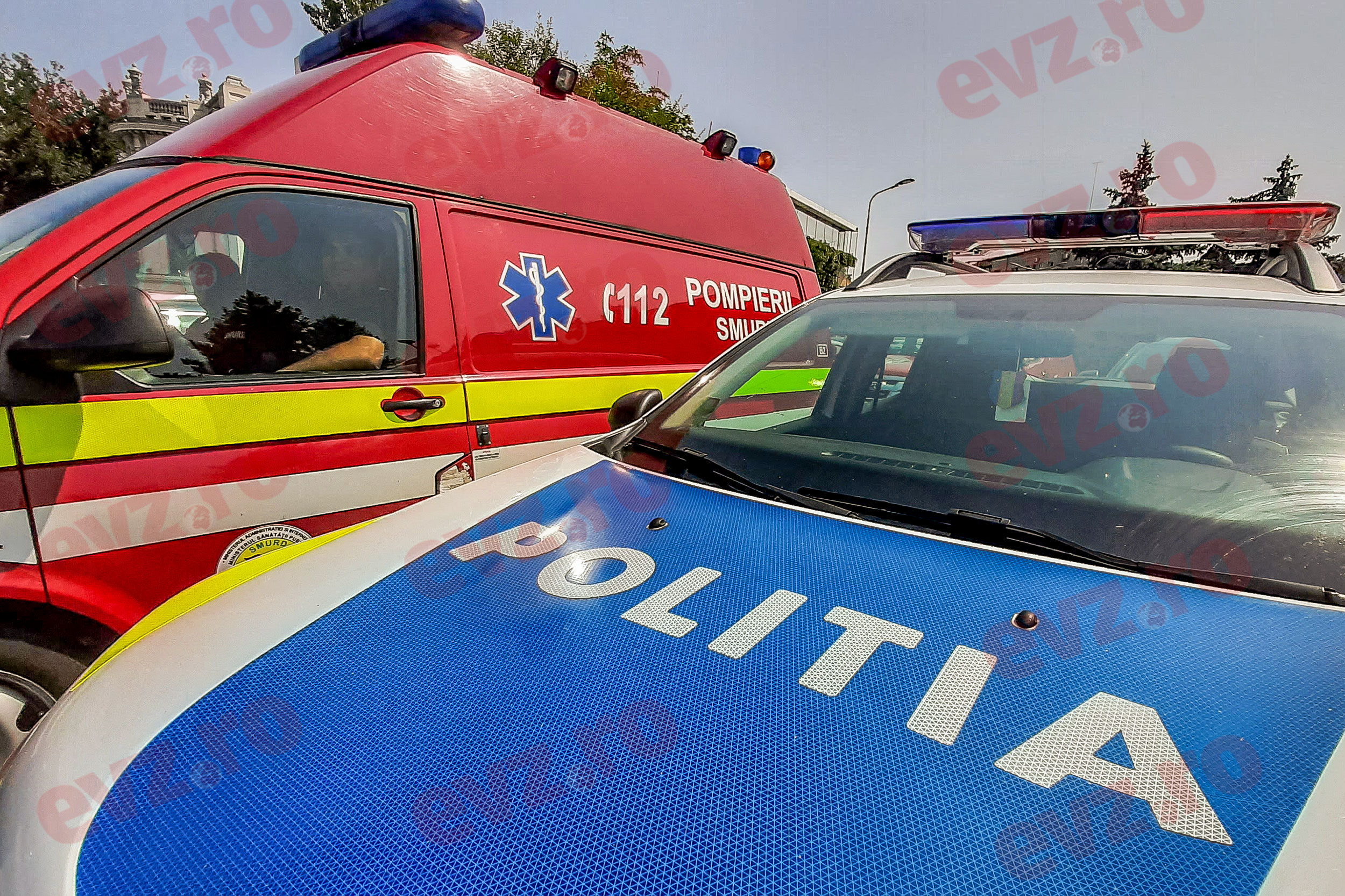 Un copil de patru ani, ucis de un câine ciobănesc în Buzău