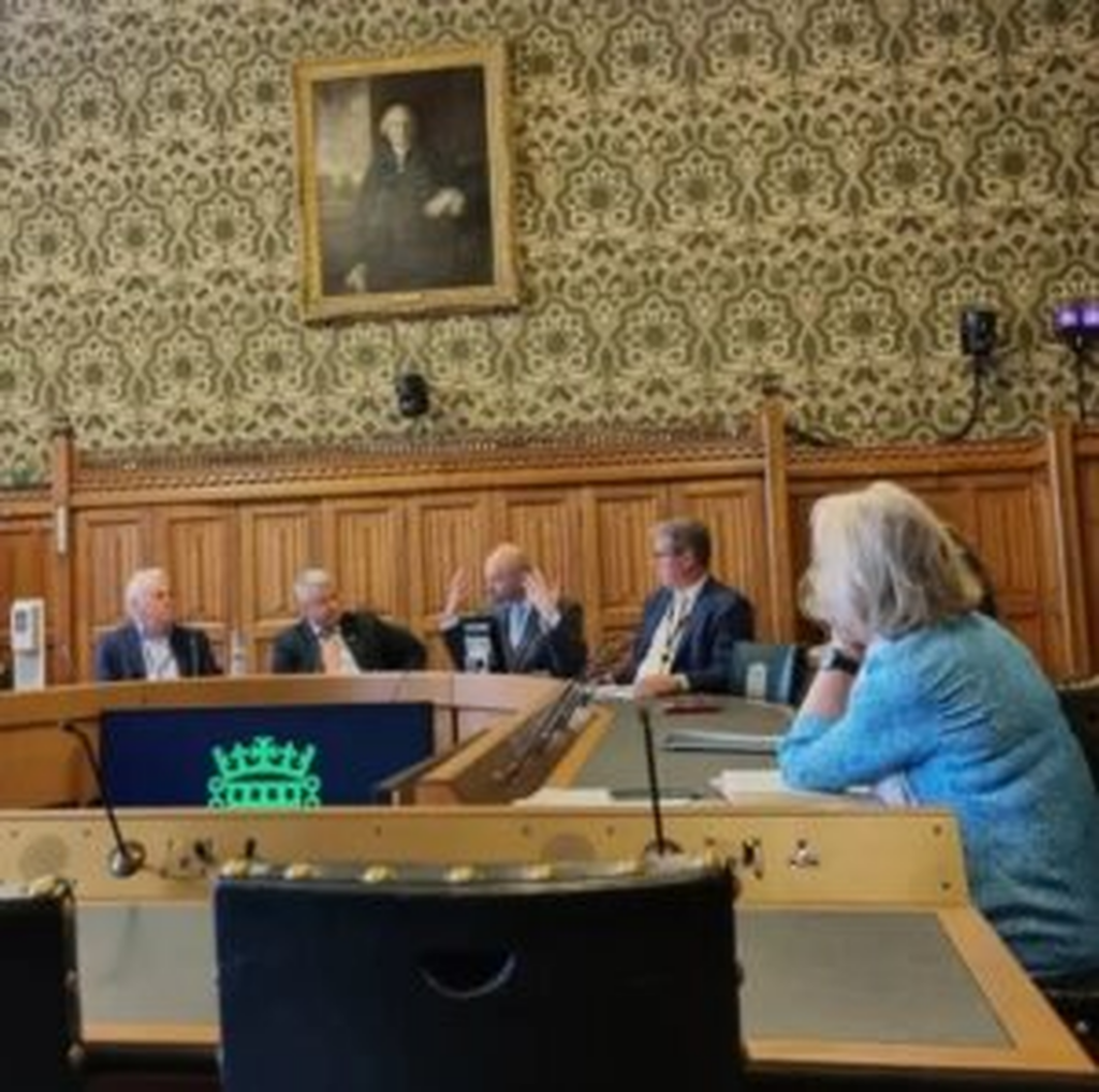 Marius Balo, invitat în Parlamentul Marii Britanie. Românul a rememorat traumele trăite în China